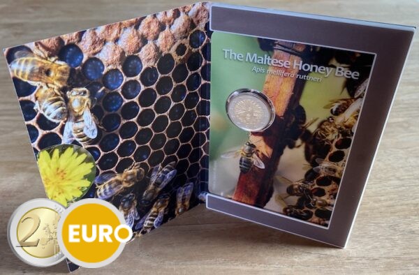2 euro Malta 2024 - Maltese honey bee BU FDC Coincard